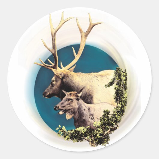 121.シカと後ろ ラウンドシール (正面)