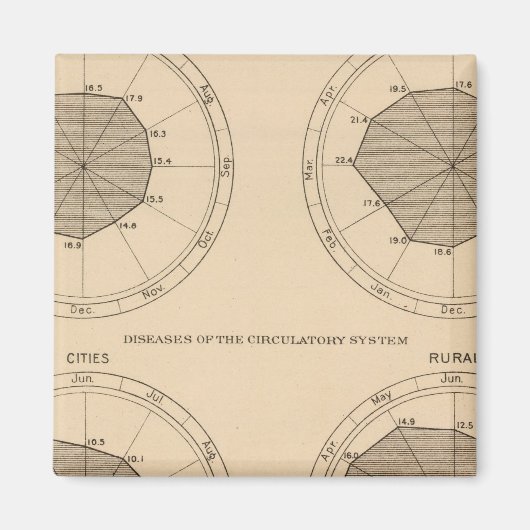 122死病の神経系および循環系 マグネット (正面)