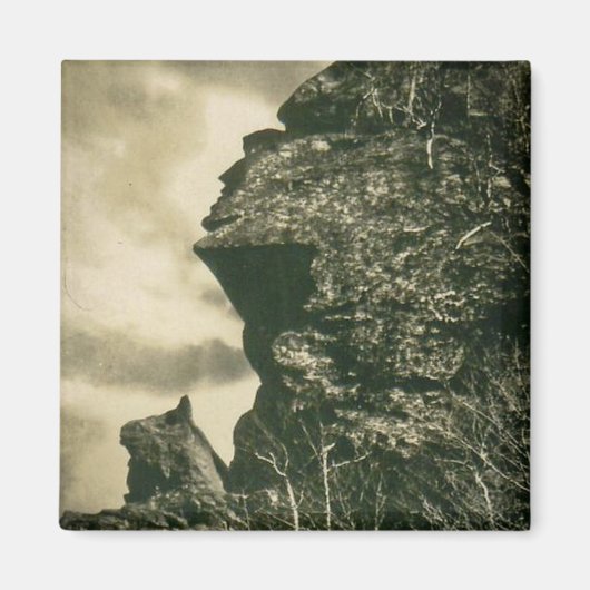 123.ハンターと彼の犬が密猟者の刻印を受けたバーモン マグネット (正面)