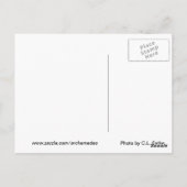 123.空気 ポストカード (裏面)