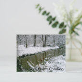 124，ノースカロライナ州出身のこんにちは ポストカード (スタンド正面)