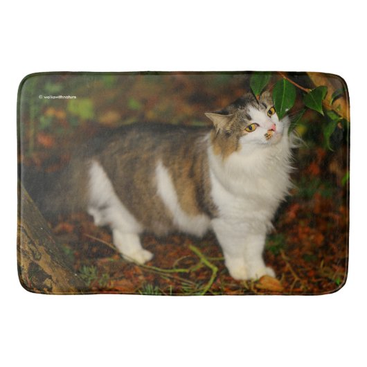 126.ネコと椿 バスマット (正面)