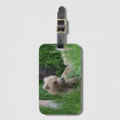 128 Grazerで最も小さいカブス-荷物のラベル2 ラゲッジタグ (正面縦)