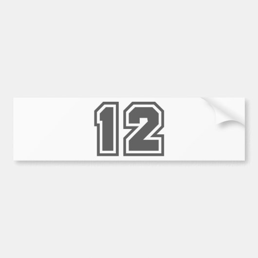 12 バンパーステッカー (正面)