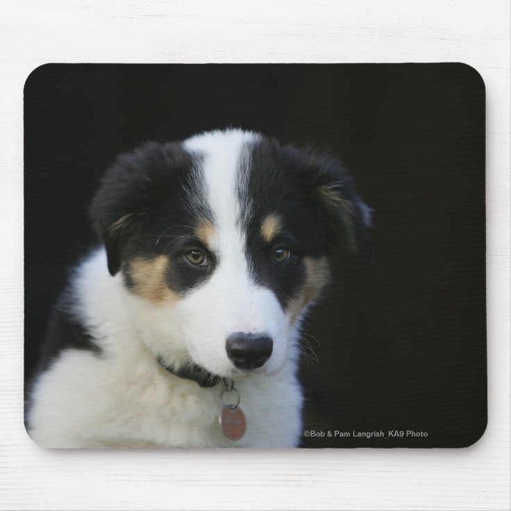 12 1週間目のボーダーコリーの子犬 マウスパッド | Zazzle.co.jp