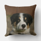 12 1週間目のボーダーコリーの子犬のHeadshot クッション (裏面)