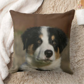 12 1週間目のボーダーコリーの子犬のHeadshot クッション (ブランケット)