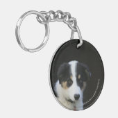 12 1週間目のボーダーコリーの子犬 キーホルダー (正面左)