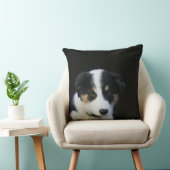 12 1週間目のボーダーコリーの子犬 クッション (椅子)