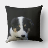 12 1週間目のボーダーコリーの子犬 クッション (裏面)