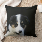 12 1週間目のボーダーコリーの子犬 クッション (ブランケット)