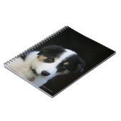 12 1週間目のボーダーコリーの子犬 ノートブック (左側)