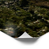 12/22/2014 ポスター (コーナー)