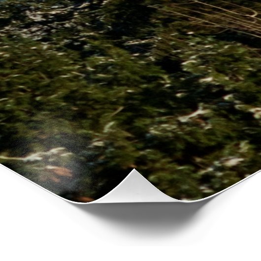 12/22/2014 ポスター (コーナー)