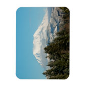 12/22/2014 マグネット (縦)