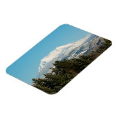 12/22/2014 マグネット (左側)