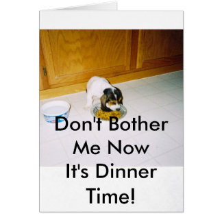 12-30-2008 06; 09; 30PMは、私にNowIt…迷惑を掛けません