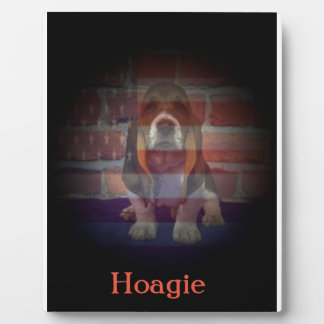 12.7 x 17.78cmイーゼル付 フォトプラーク