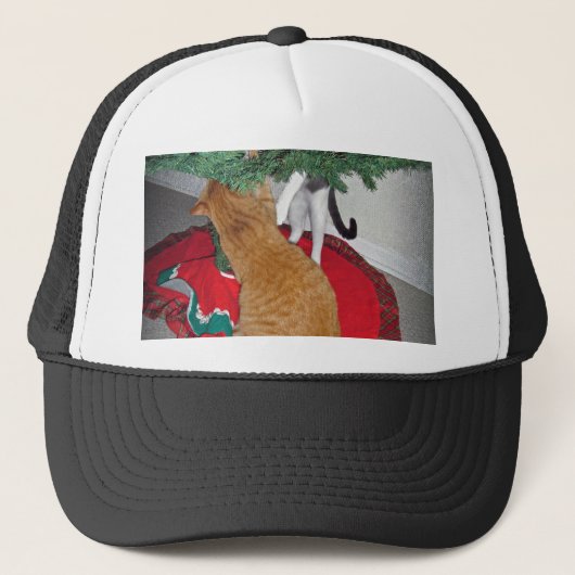 12 Cats a-登山 キャップ (正面)