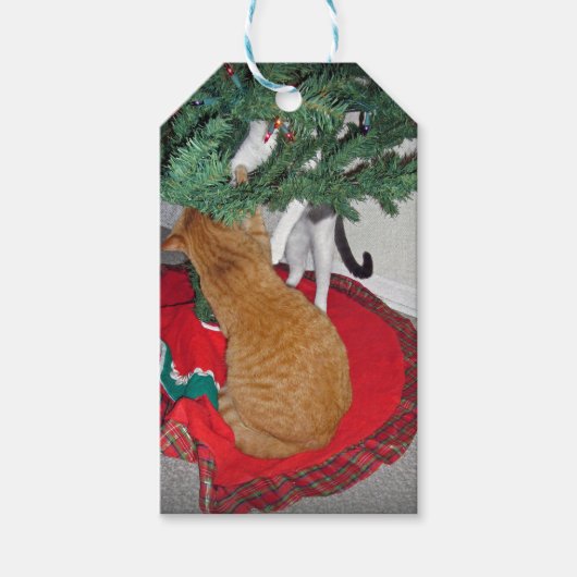 12 Cats a-登山 ギフトタグ (正面)
