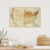 12 Foreign 生まれ 1890 ポスター (キッチン)