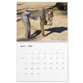 12 month calendar monkeys カレンダー (3月 2026)
