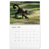 12 month calendar monkeys カレンダー (2月 2026)