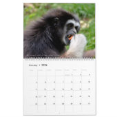 12 month calendar monkeys カレンダー (1月 2026)