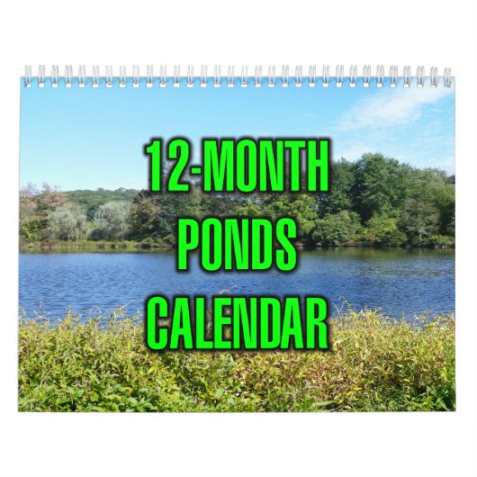 12-Month Ponds カレンダー (カバー)