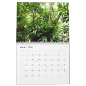 12 Months of Tropical Photography, 3rd Edition カレンダー (3月 2026)