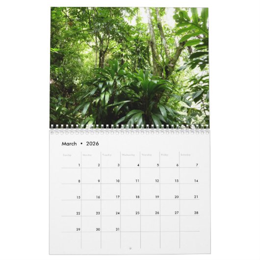 12 Months of Tropical Photography, 3rd Edition カレンダー (3月 2026)