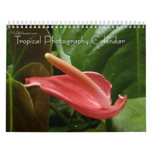 12 Months of Tropical Photography, 4th Edition カレンダー