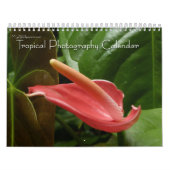 12 Months of Tropical Photography, 4th Edition カレンダー (カバー)