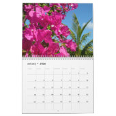 12 Months of Tropical Photography, First Edition カレンダー (1月 2026)