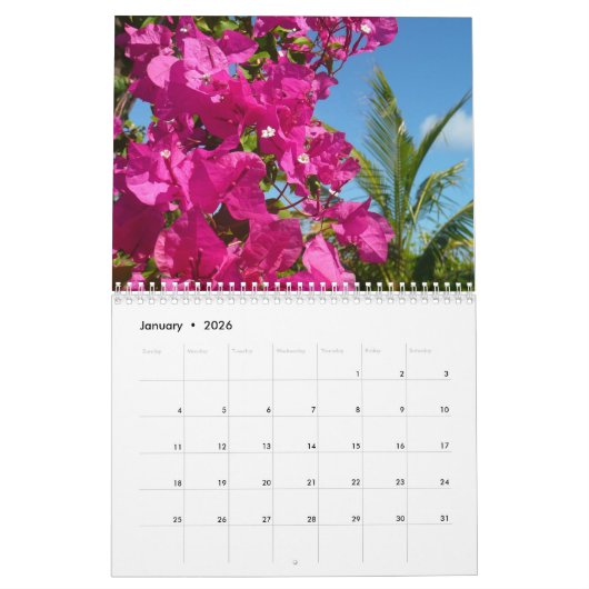 12 Months of Tropical Photography, First Edition カレンダー (1月 2026)