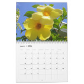 12 Months of Tropical Photography, First Edition カレンダー (3月 2026)