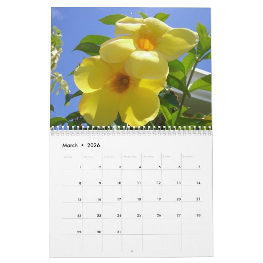 12 Months of Tropical Photography, First Edition カレンダー (3月 2026)