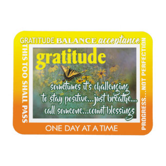 12 step gratitude magnet 26 butterflies マグネット