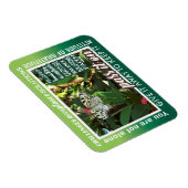 12 step recovery pass it on magnet 26 butterflies マグネット (右側)