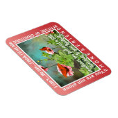 12 step thinking magnet 26 butterflies マグネット (右側)