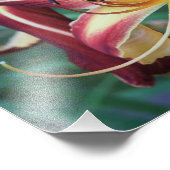 12"x12"デイリリー フォトプリント            (角)