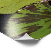 12"x12"水ゆり フォトプリント            (角)