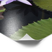 12"x12"水ゆり フォトプリント            (角)