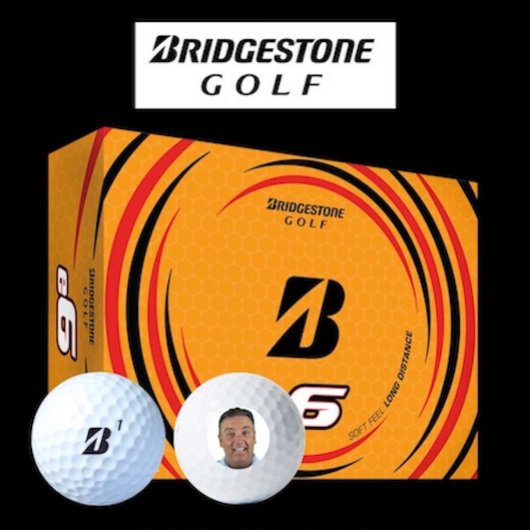12 x Bridgestone e6 Custom Photo Golf Balls ゴルフボール