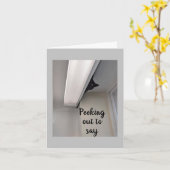 *12th*かわいい隠し子猫のカードだけ カード (黄色い花)