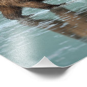 12x12グリズリーベアのサテン写真 フォトプリント            (角)