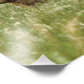 12x12 Satin photo of grizzly bear cubs フォトプリント (角)