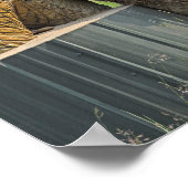 12x16グリズリーベアのポスター ポスター (角)