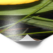 12x16フォトプリント フォトプリント            (角)