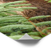 12x16ポスター（マット）とグリズリーベア ポスター (角)